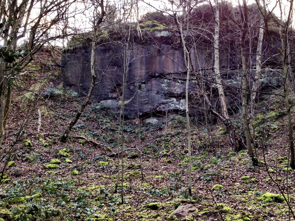 Old quarry 7